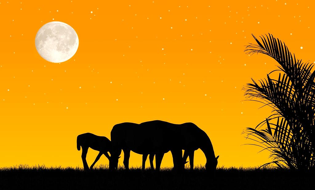 Illustration of phishing attack example