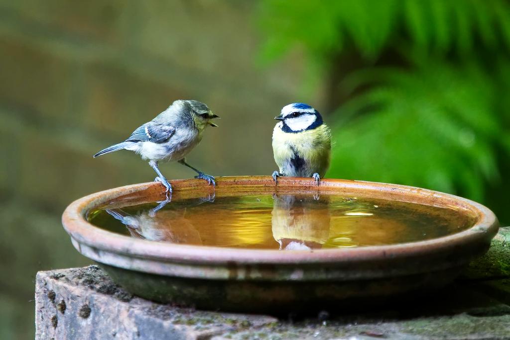 User setting up two-factor authentication on mobile device